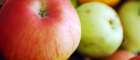 Apples