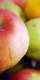 Apples