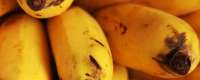 Bananas