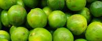 Limes